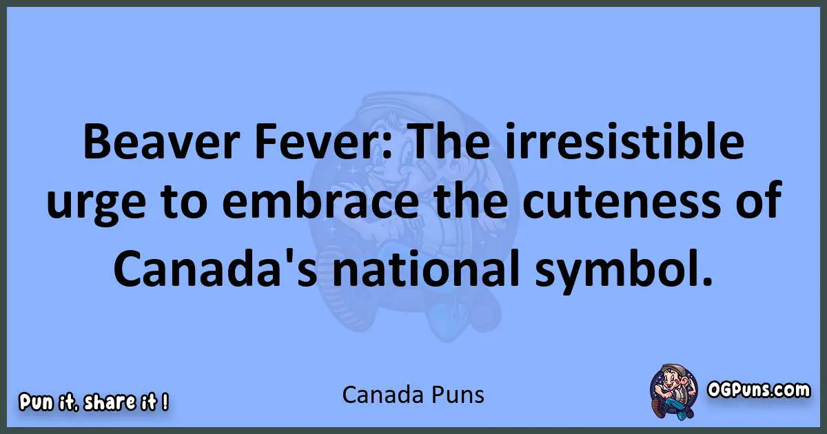 pun about Canada puns