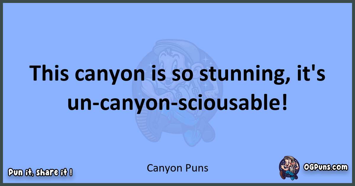 pun about Canyon puns