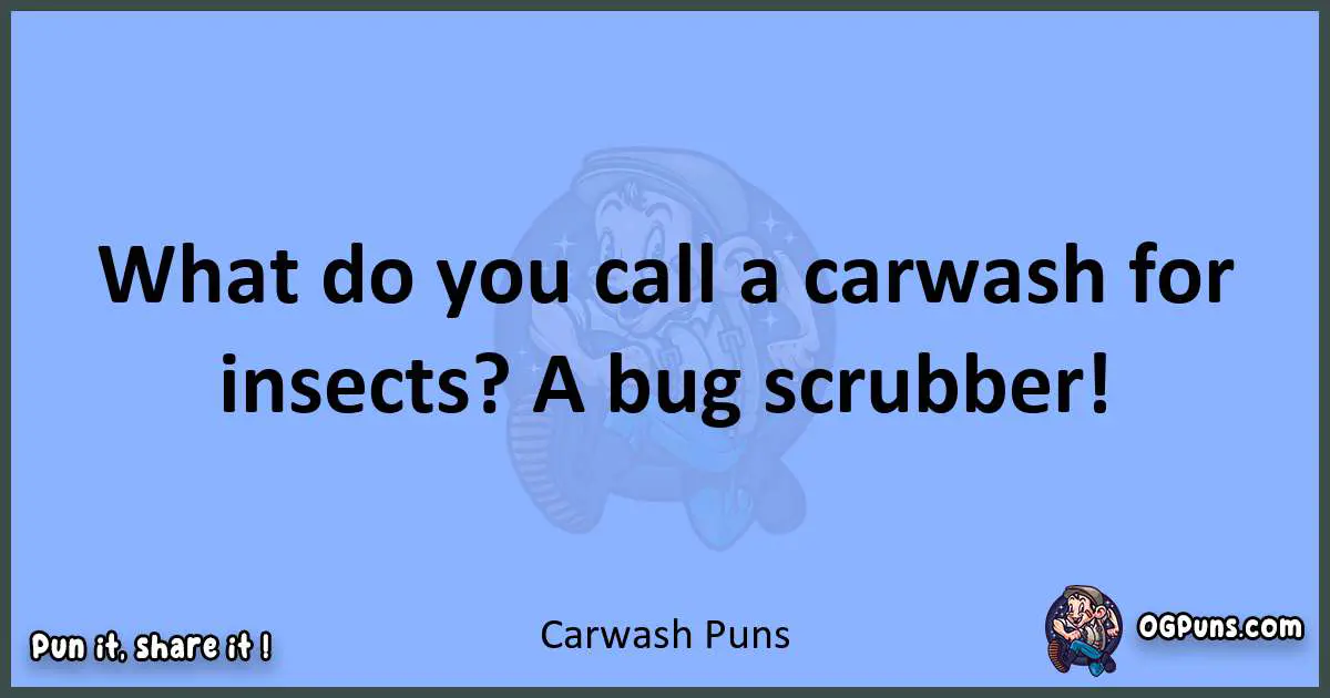 pun about Carwash puns
