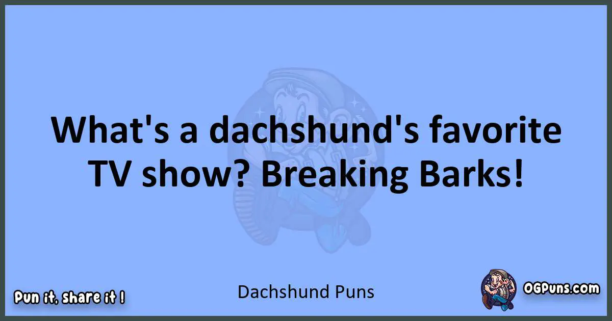pun about Dachshund puns