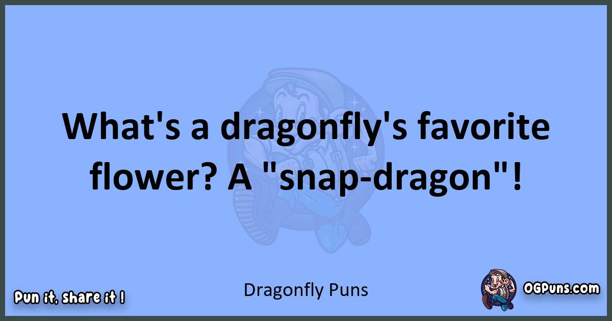 pun about Dragonfly puns
