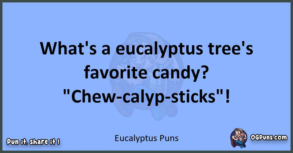 pun about Eucalyptus puns