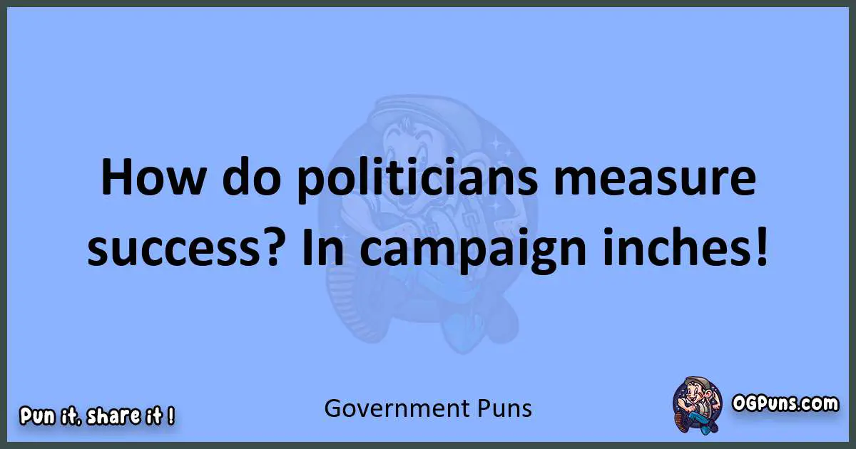 pun about Government puns