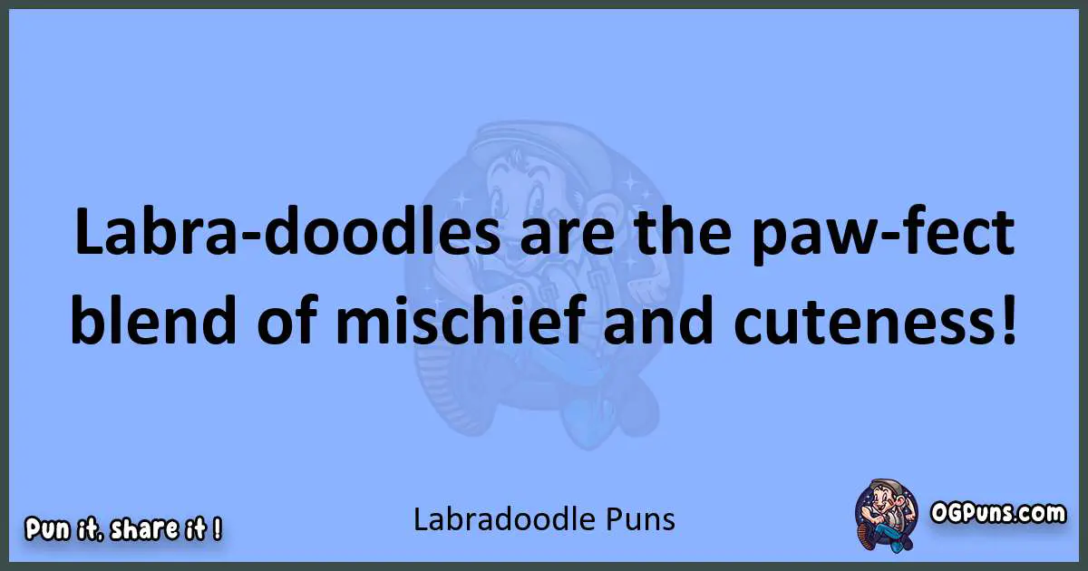 pun about Labradoodle puns