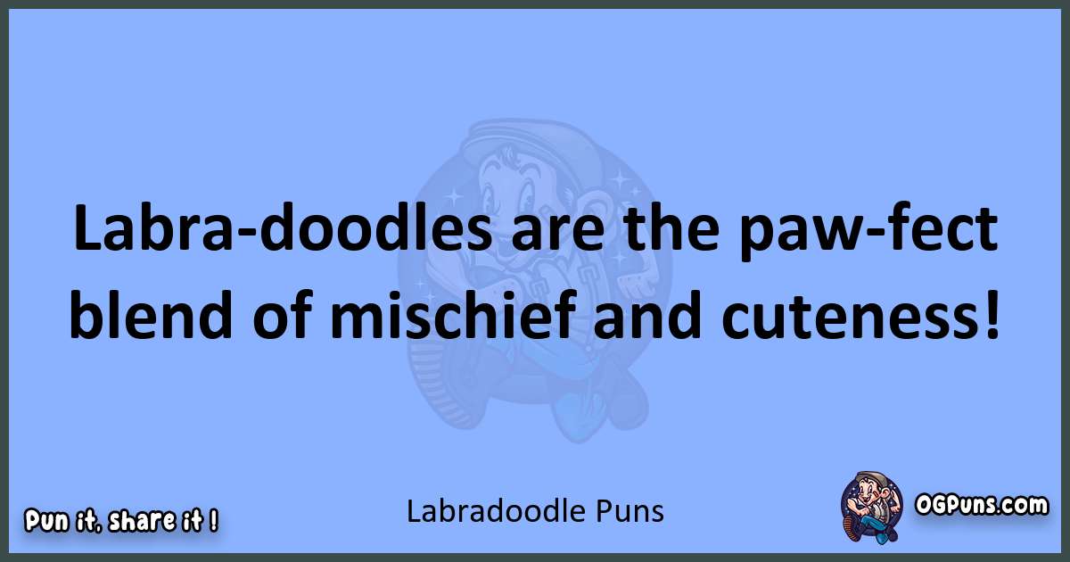 pun about Labradoodle puns