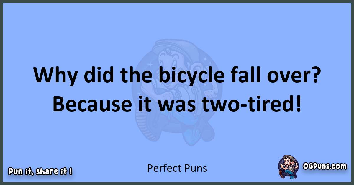 pun about Perfect puns