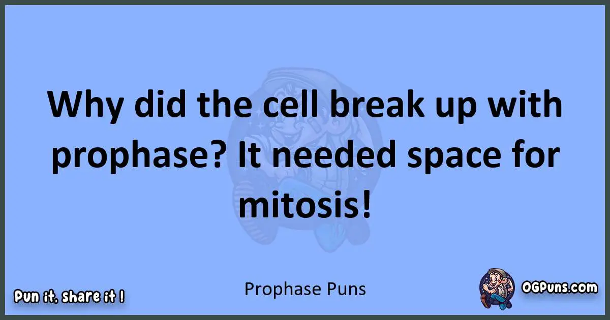 pun about Prophase puns