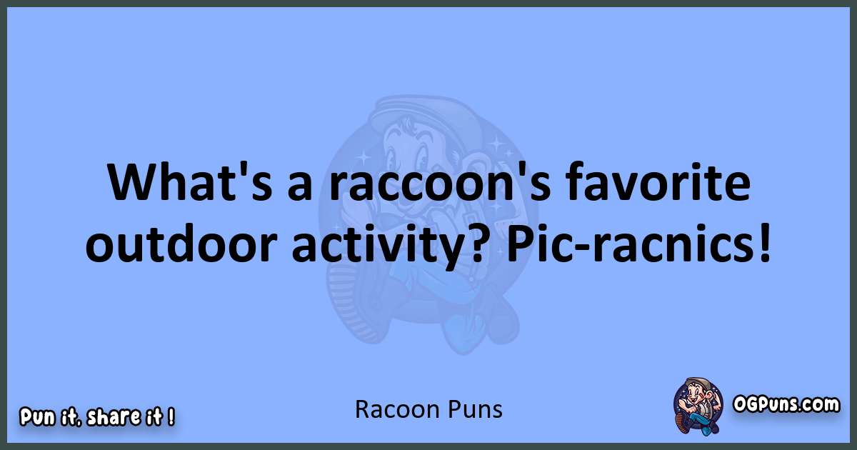 pun about Racoon puns