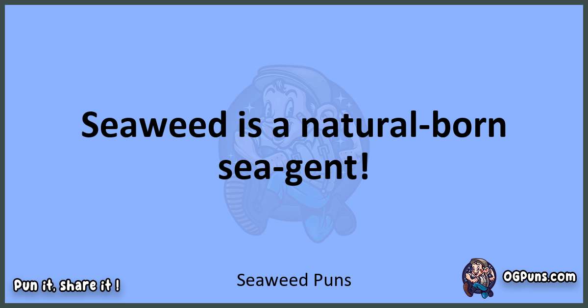 pun about Seaweed puns