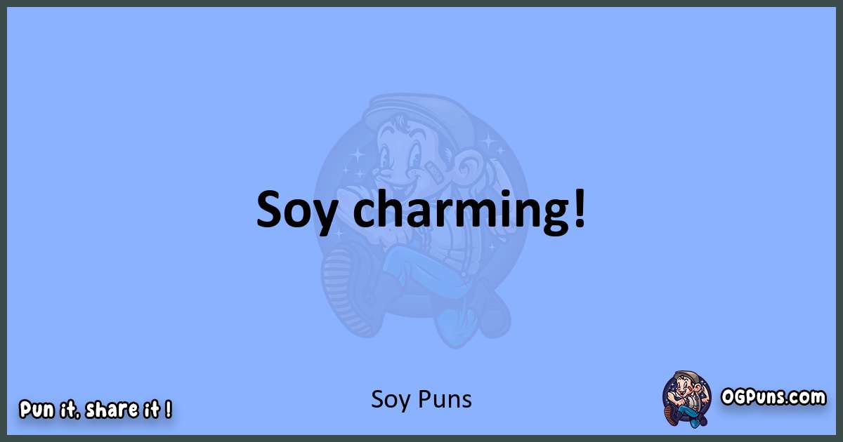 pun about Soy puns
