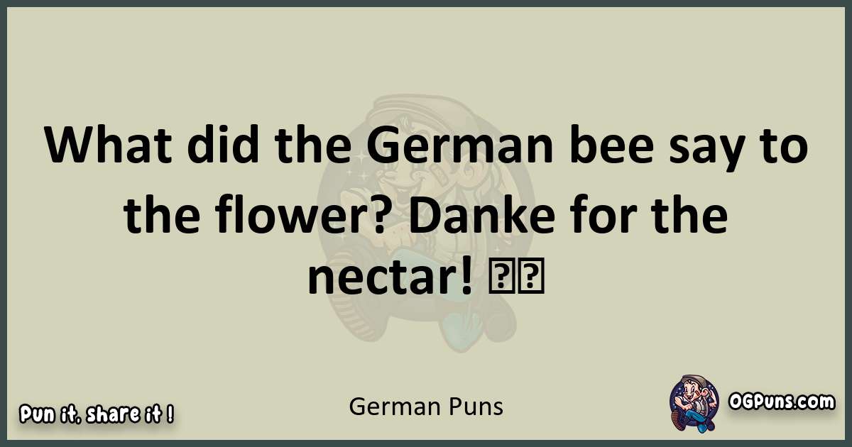 German puns text wordplay