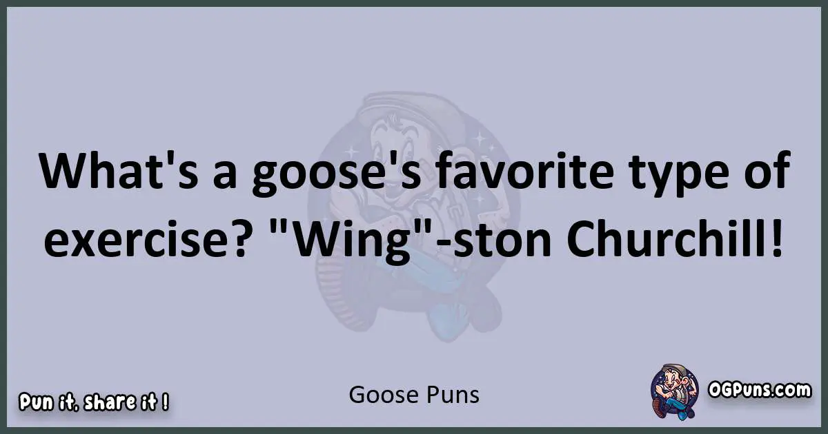 Textual pun with Goose puns