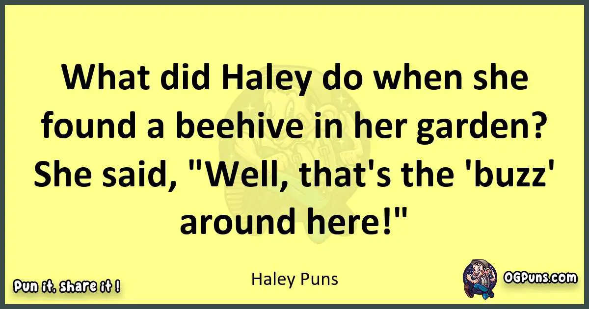 Haley puns best worpdlay