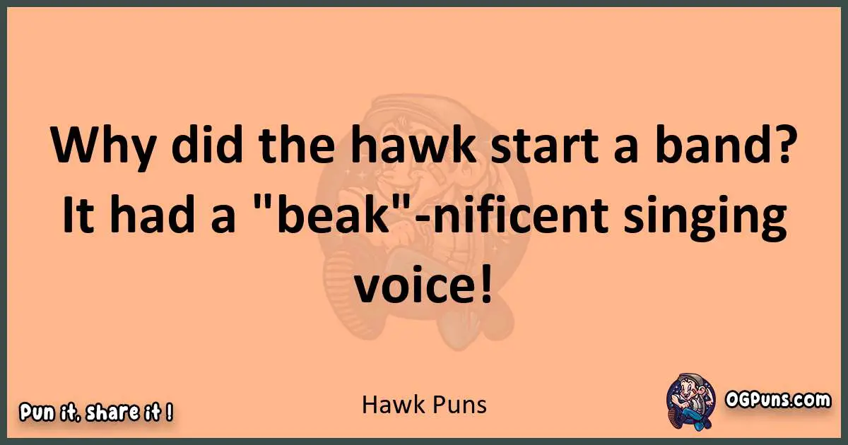 pun with Hawk puns