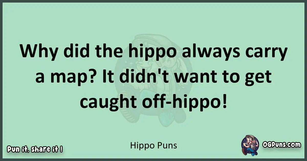 wordplay with Hippo puns