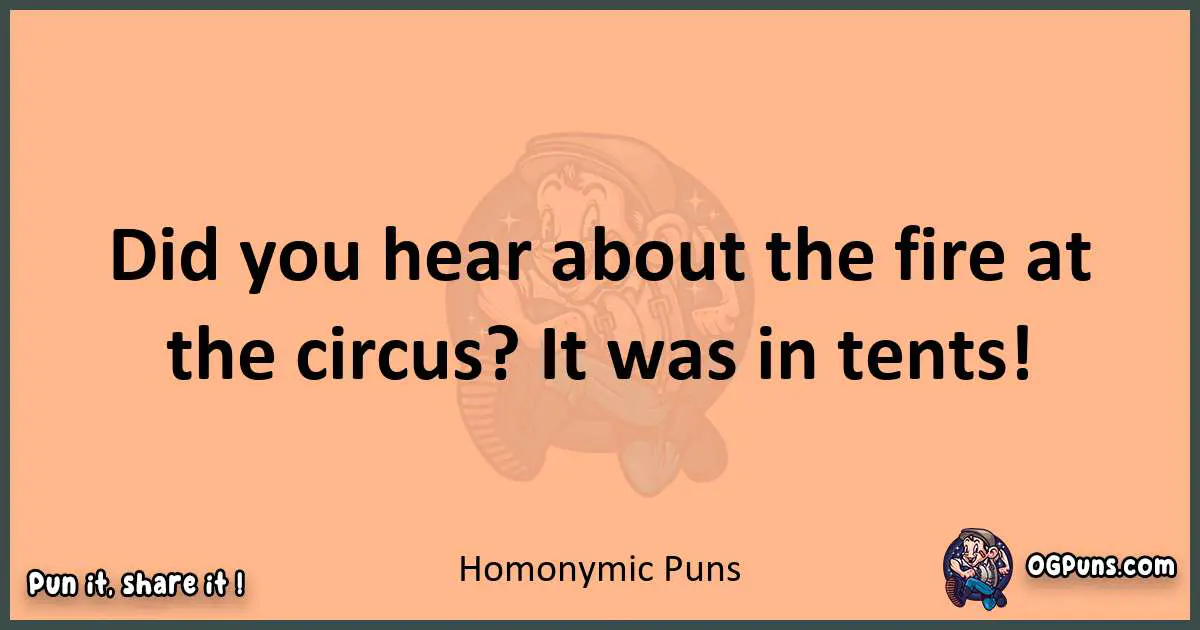 pun with Homonymic puns