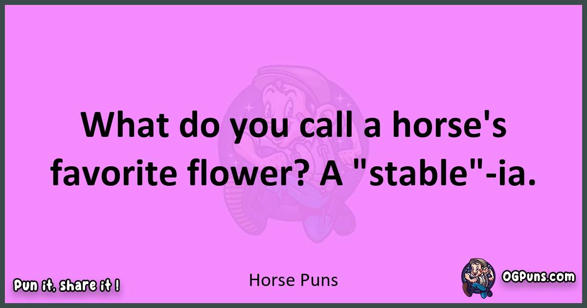 Horse puns nice pun