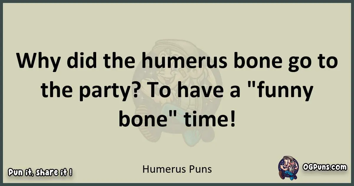 Humerus puns text wordplay