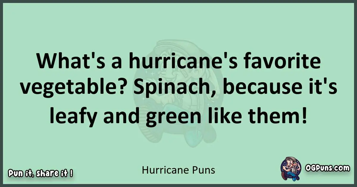 wordplay with Hurricane puns
