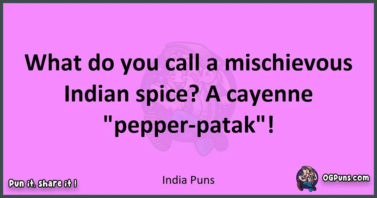 India puns nice pun