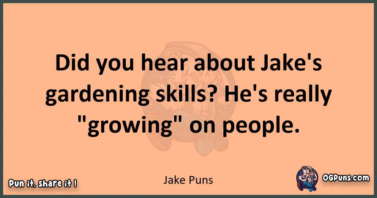 pun with Jake puns