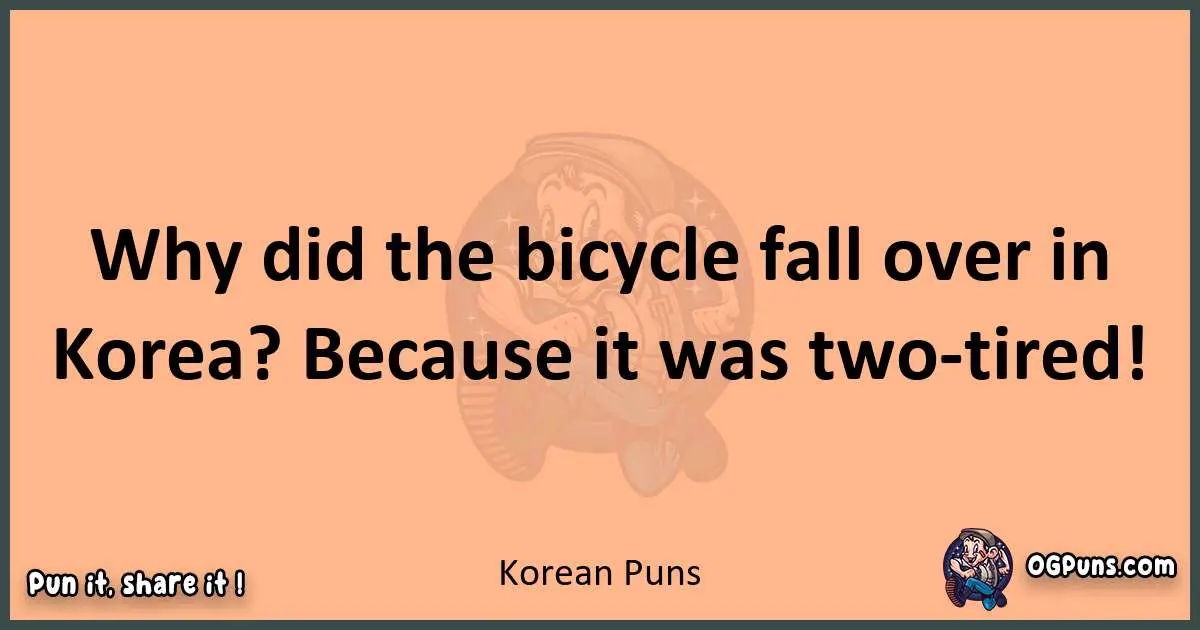 pun with Korean puns