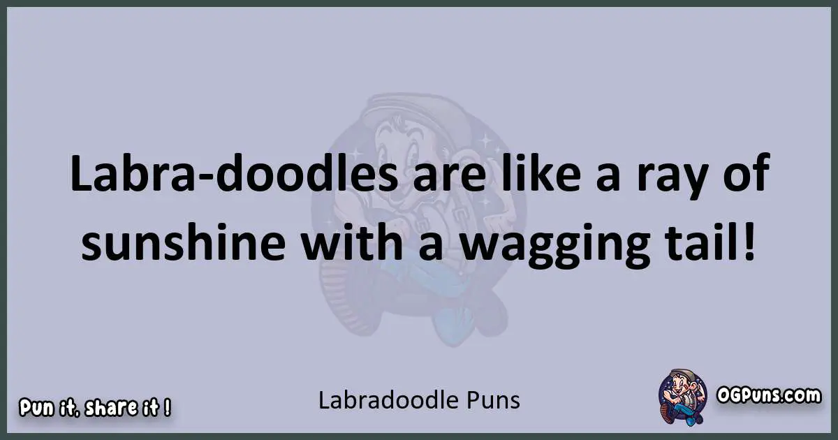 Textual pun with Labradoodle puns