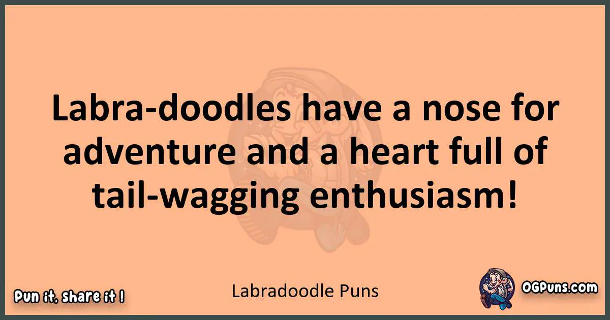 pun with Labradoodle puns