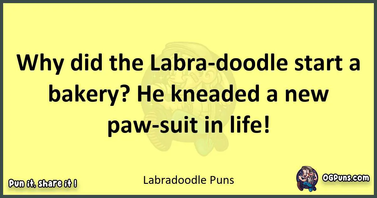 Labradoodle puns best worpdlay