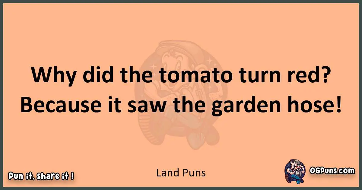 pun with Land puns