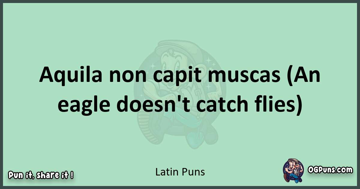 wordplay with Latin puns
