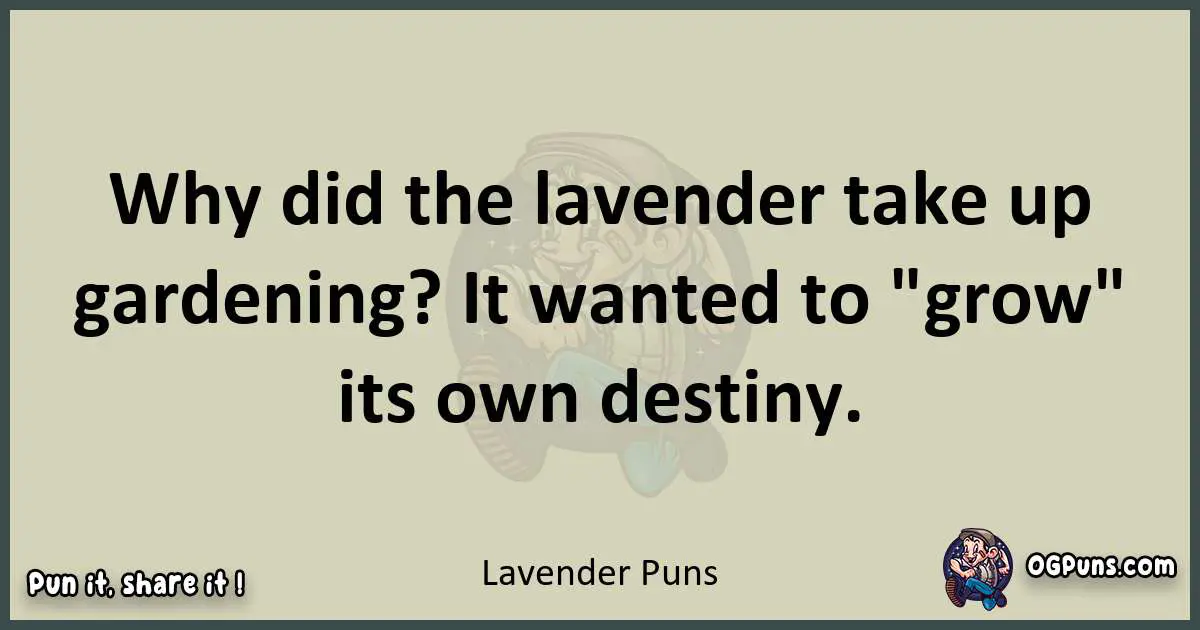 Lavender puns text wordplay