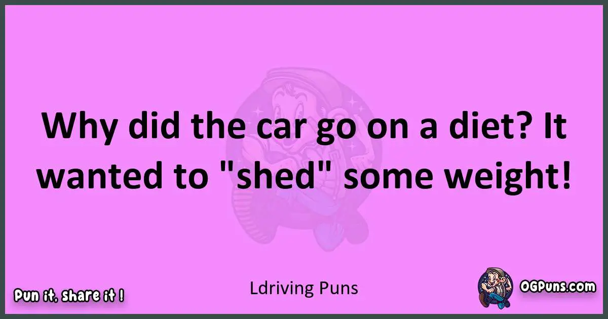 Ldriving puns nice pun