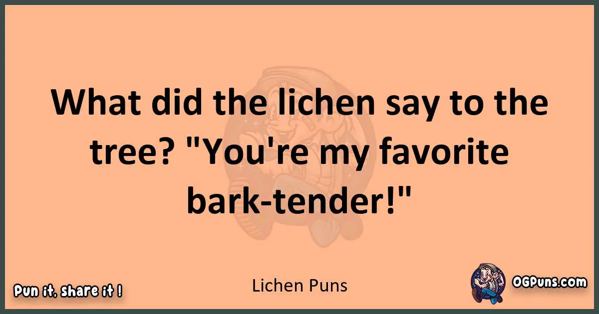 pun with Lichen puns