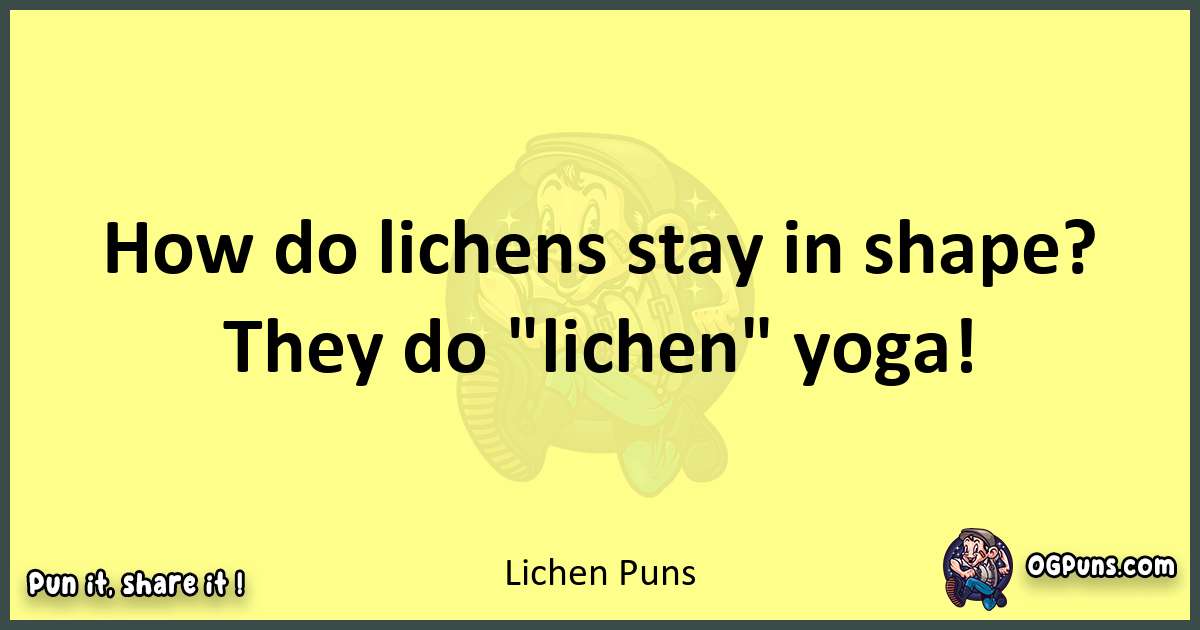 Lichen puns best worpdlay