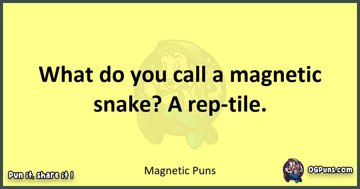 Magnetic puns best worpdlay
