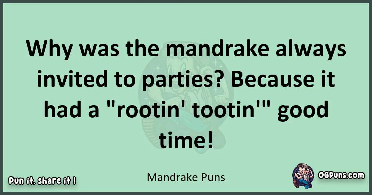 wordplay with Mandrake puns