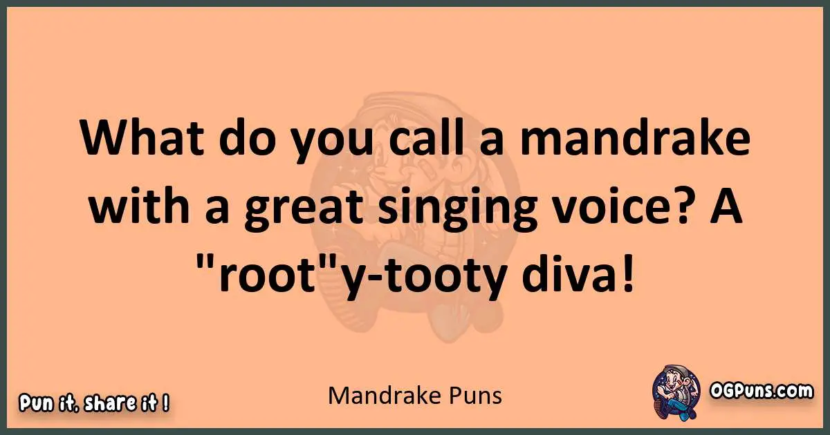pun with Mandrake puns