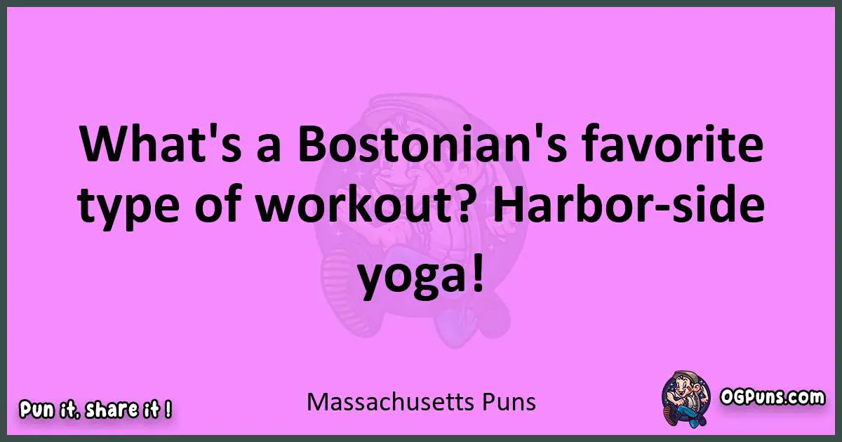 Massachusetts puns nice pun