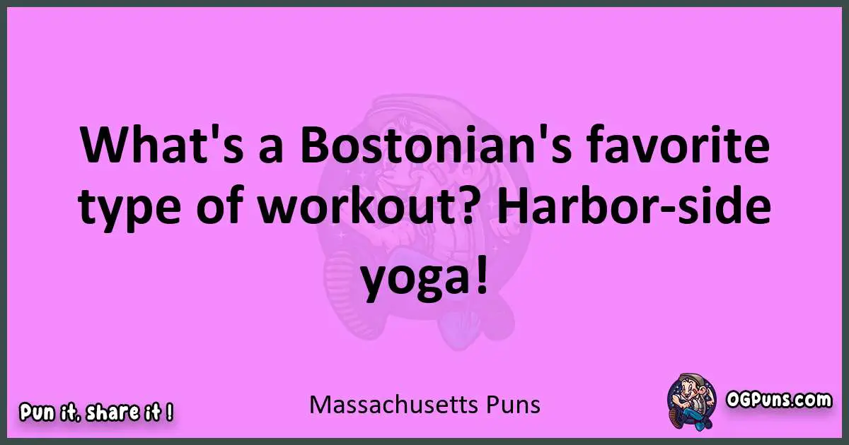 Massachusetts puns nice pun