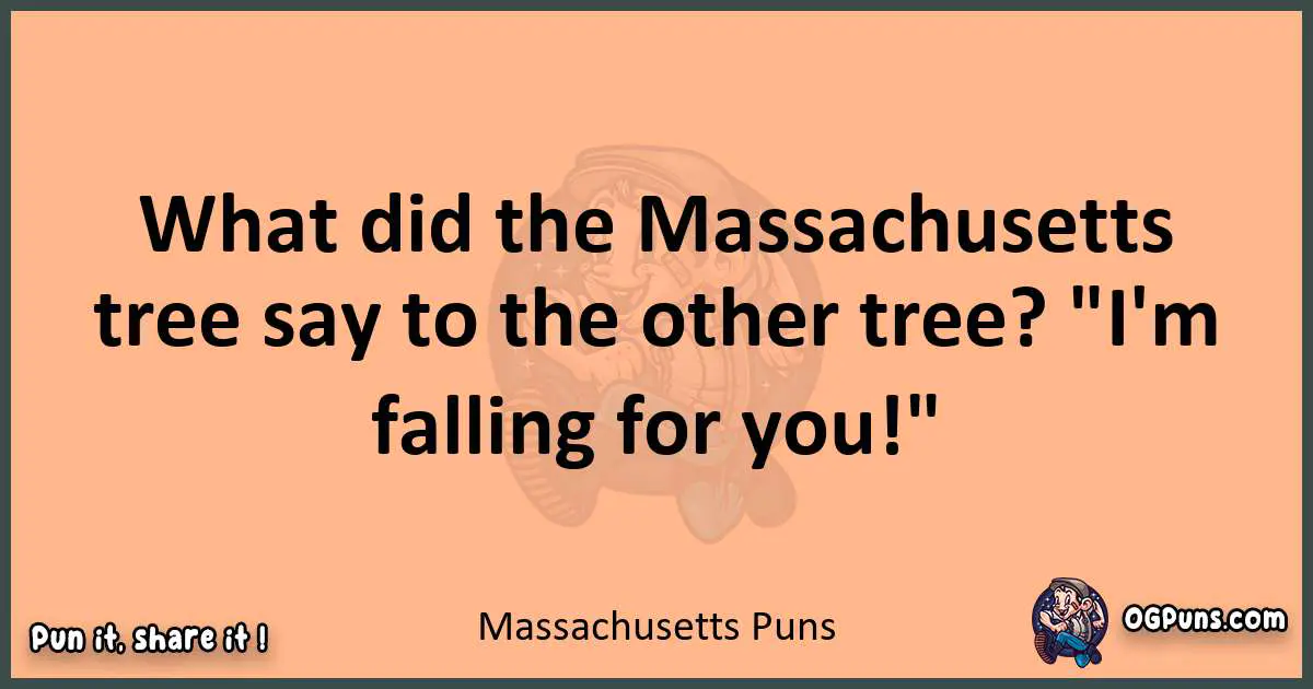 pun with Massachusetts puns