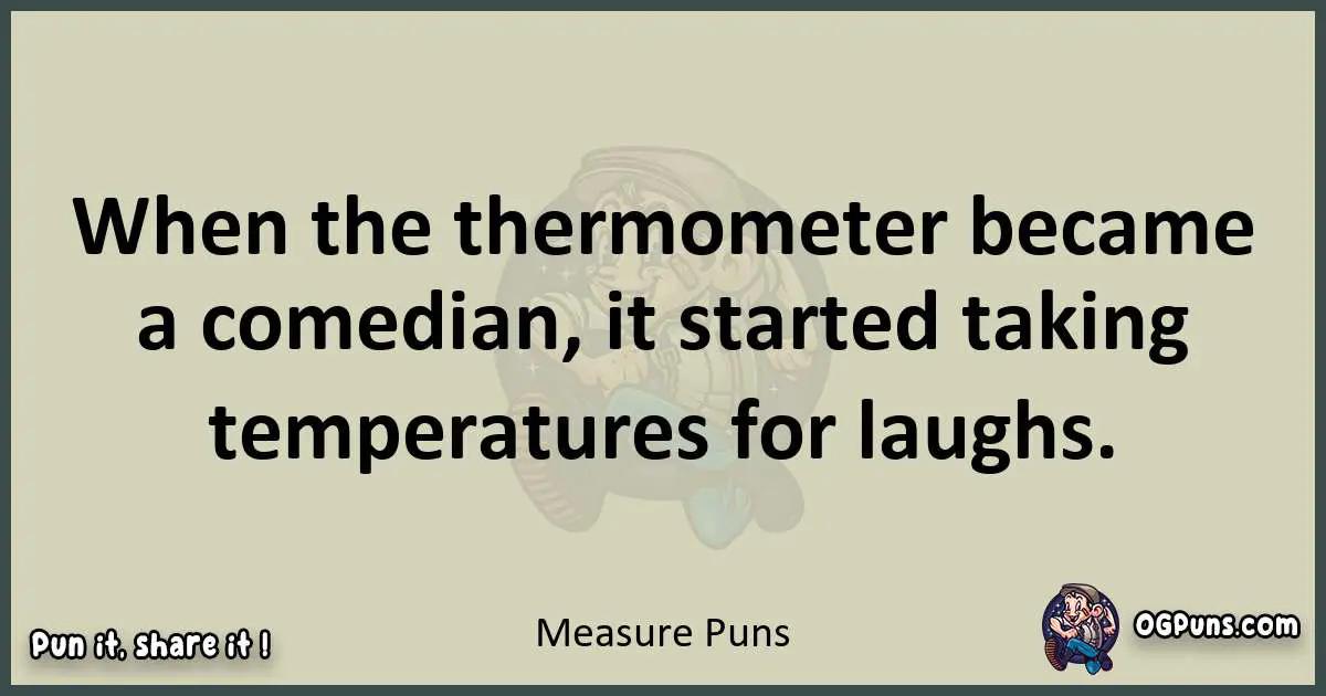 Measure puns text wordplay