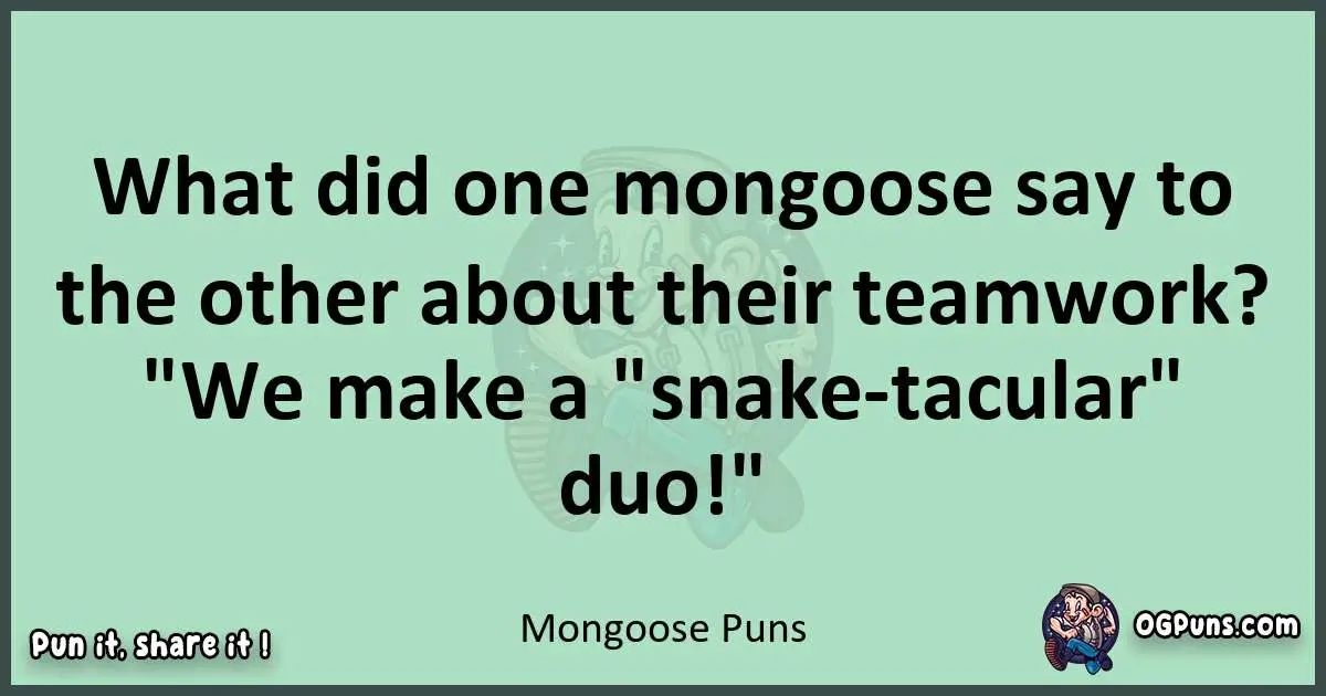 wordplay with Mongoose puns