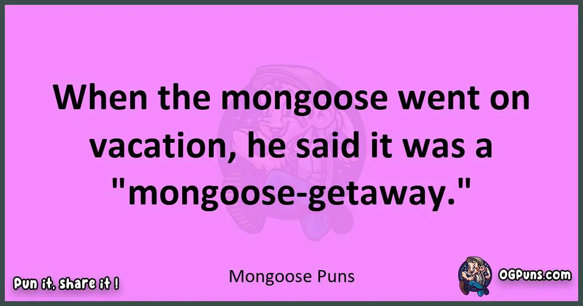 Mongoose puns nice pun