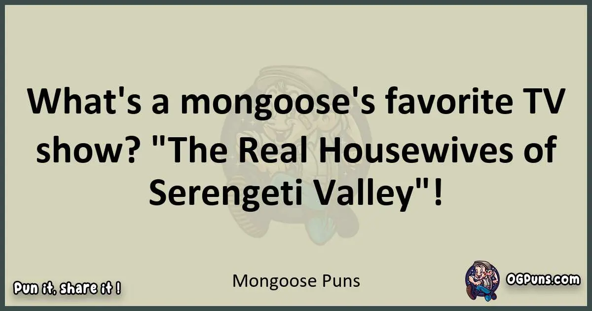 Mongoose puns text wordplay