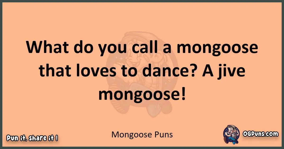 pun with Mongoose puns