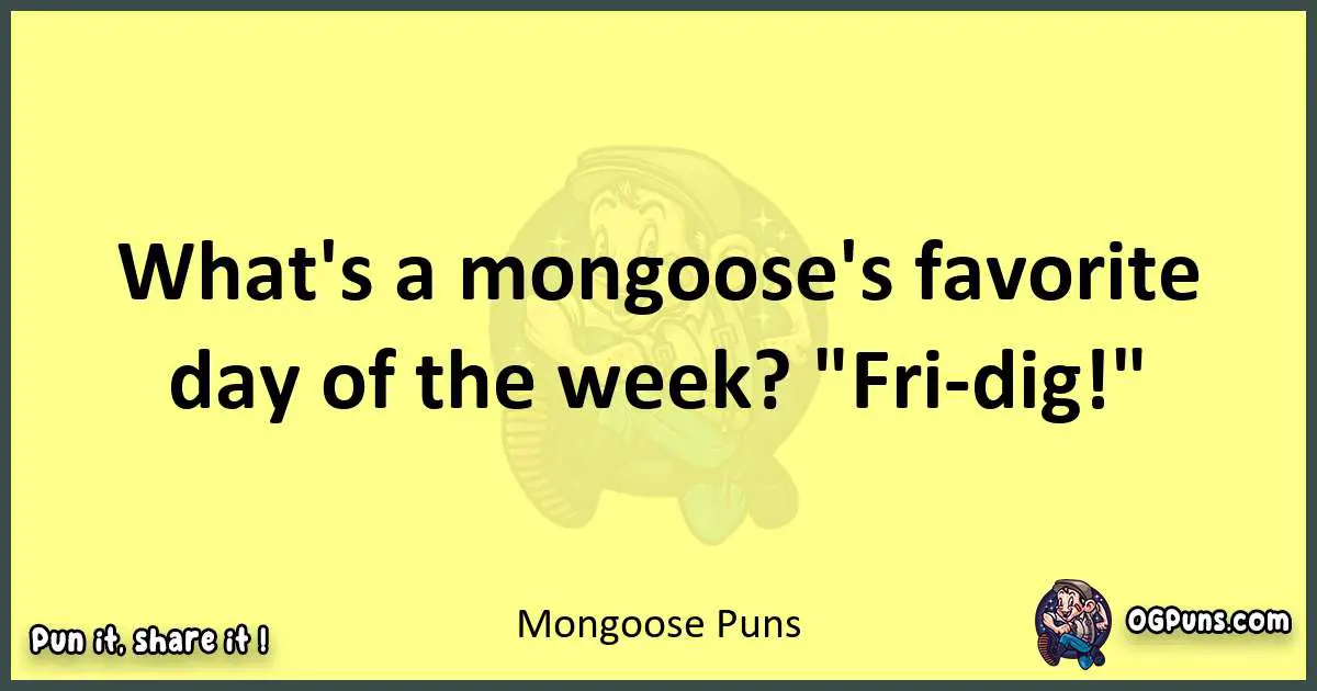 Mongoose puns best worpdlay