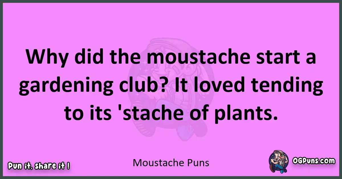 Moustache puns nice pun