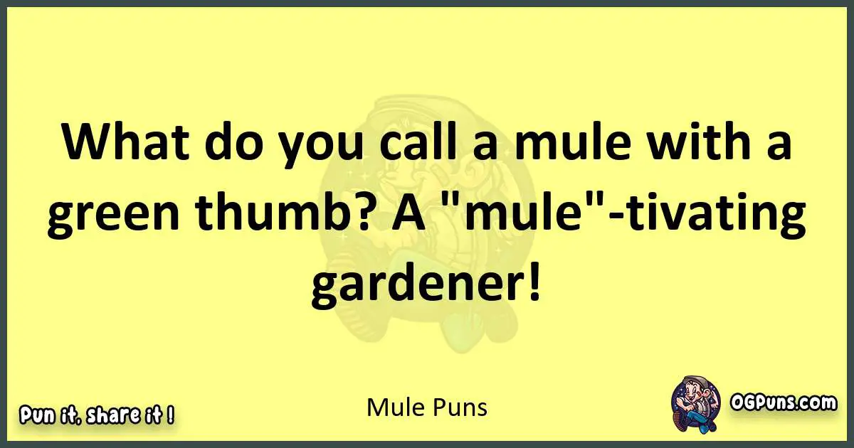 Mule puns best worpdlay