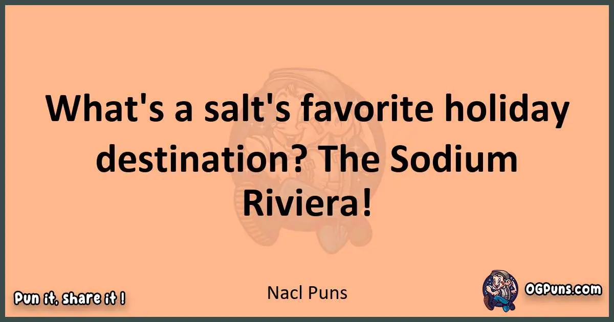 pun with Nacl puns